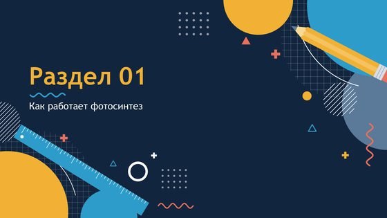 Раздел
