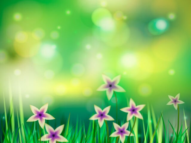��� ��� �����������: ������ PowerPoint � ������� �495