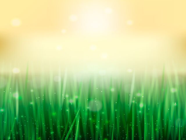 ��� ��� �����������: ������ PowerPoint � ������� �499