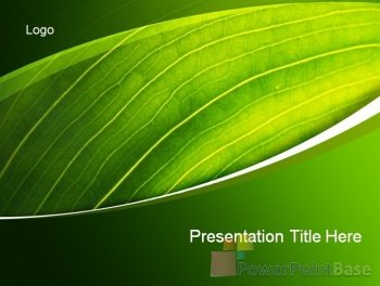 ����������� ����������� ������ PowerPoint �333 ��� ����������� �����������