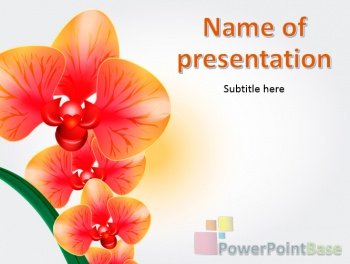 ����������� ������ PowerPoint ��� ������� �504 ��� ����������� �����������