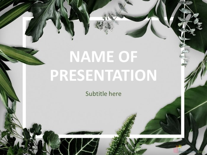����������� ������ PowerPoint ��� ������� �873 ��� ����������� �����������