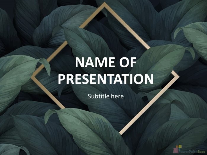 ��� ��� �����������: ������ PowerPoint � ������� �874