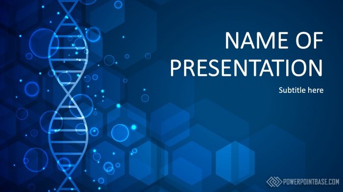 ����������� �������� ������ PowerPoint �1061 ��� ����������� �����������