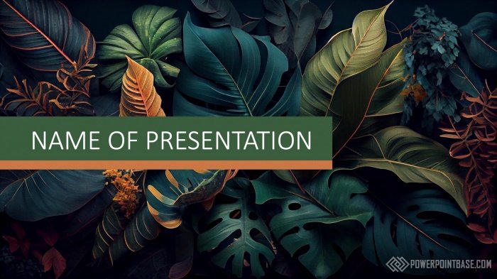 ����������� ������ PowerPoint ��� ������� �1109 ��� ����������� �����������