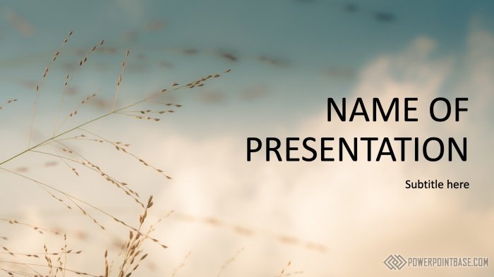 ����������� ������ PowerPoint ��� ������� �1138 ��� ����������� �����������