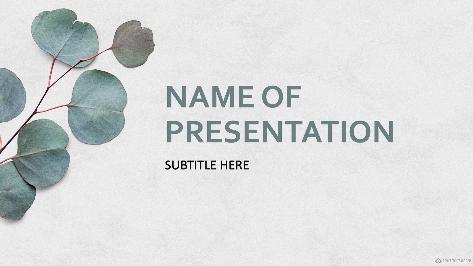 Скачать Шаблон PowerPoint №1214 для презентации бесплатно