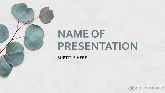 ������� ������ PowerPoint �1214 ��� ����������� ���������